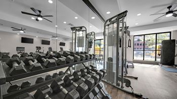 A gym with a row of dumbbells and weight machines.